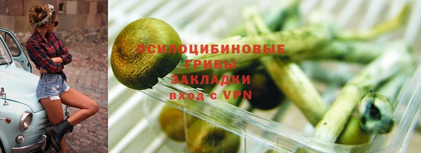 PSILOCYBIN Зерноград