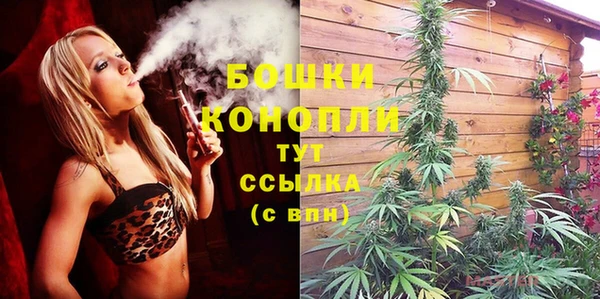 PSILOCYBIN Зерноград