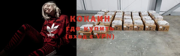 PSILOCYBIN Зерноград