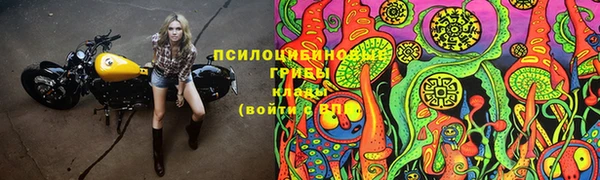 PSILOCYBIN Зерноград