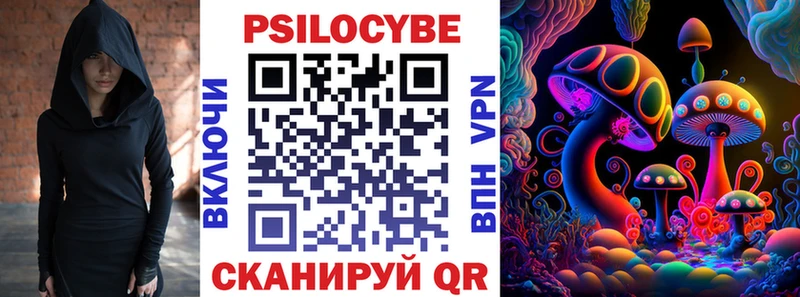 Псилоцибиновые грибы Psilocybe Богородск
