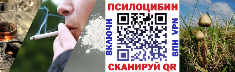 Псилоцибиновые грибы GOLDEN TEACHER  Купить  Богородск 